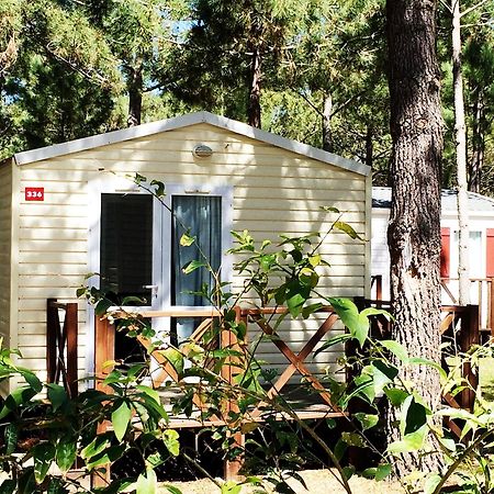 Orbitur Sitava Milfontes Bungalows - Caravan Park Odemira Luaran gambar